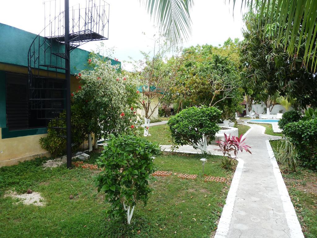 Amigos Hostel Cozumel Exteriör bild