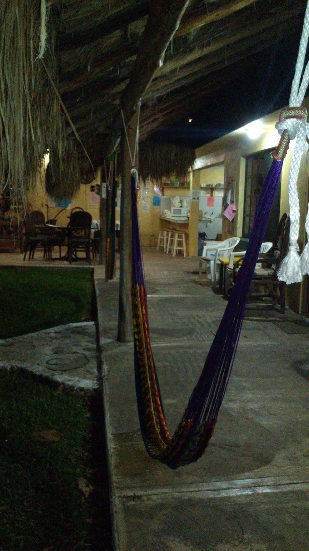Amigos Hostel Cozumel Exteriör bild
