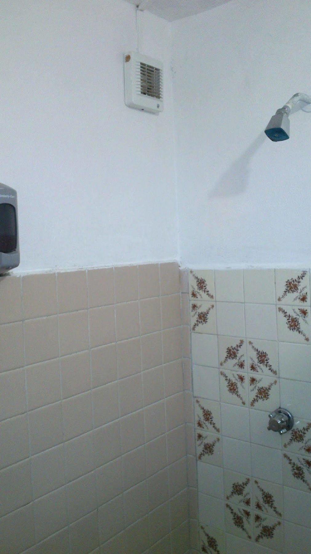 Amigos Hostel Cozumel Exteriör bild