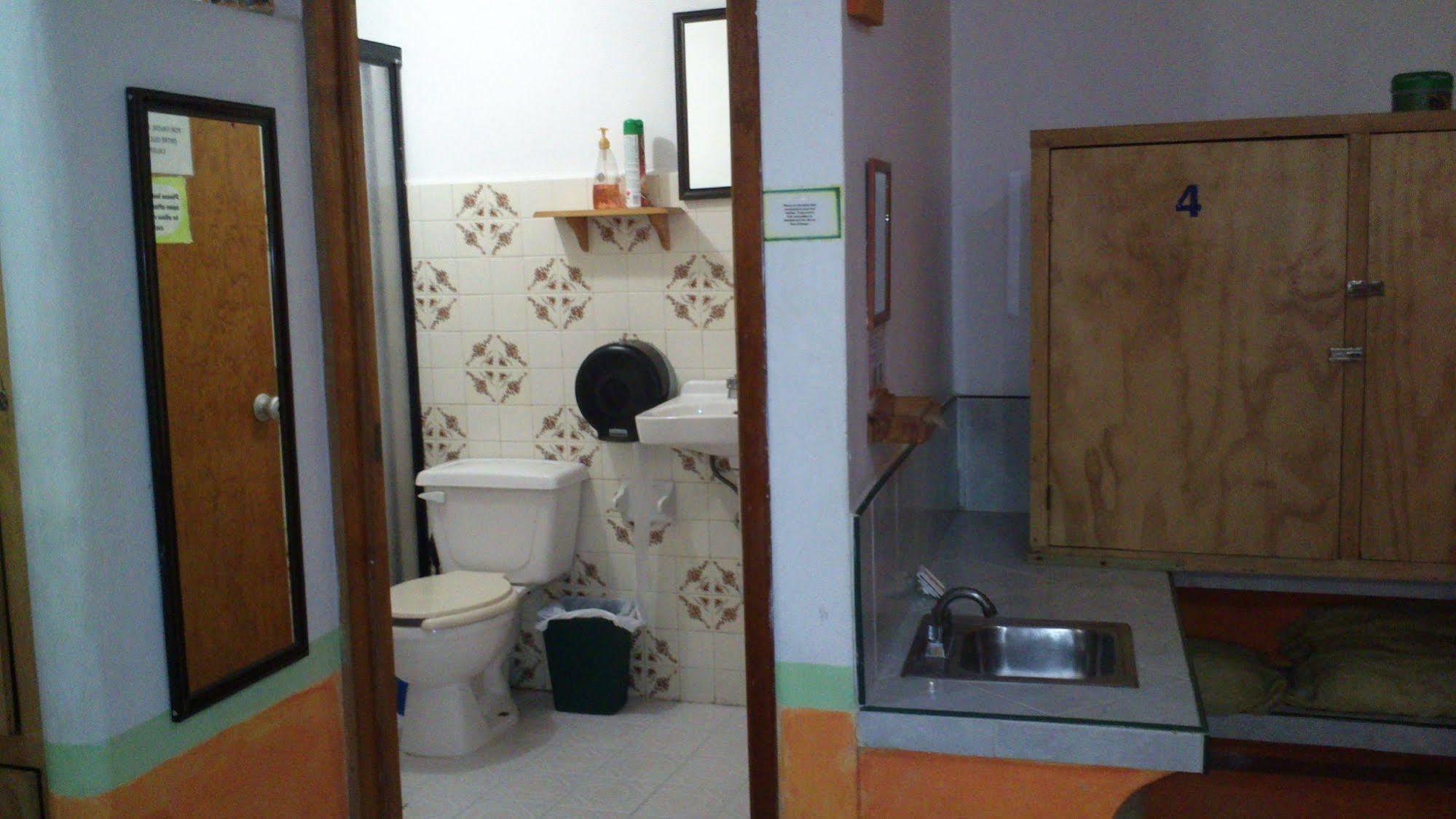 Amigos Hostel Cozumel Exteriör bild