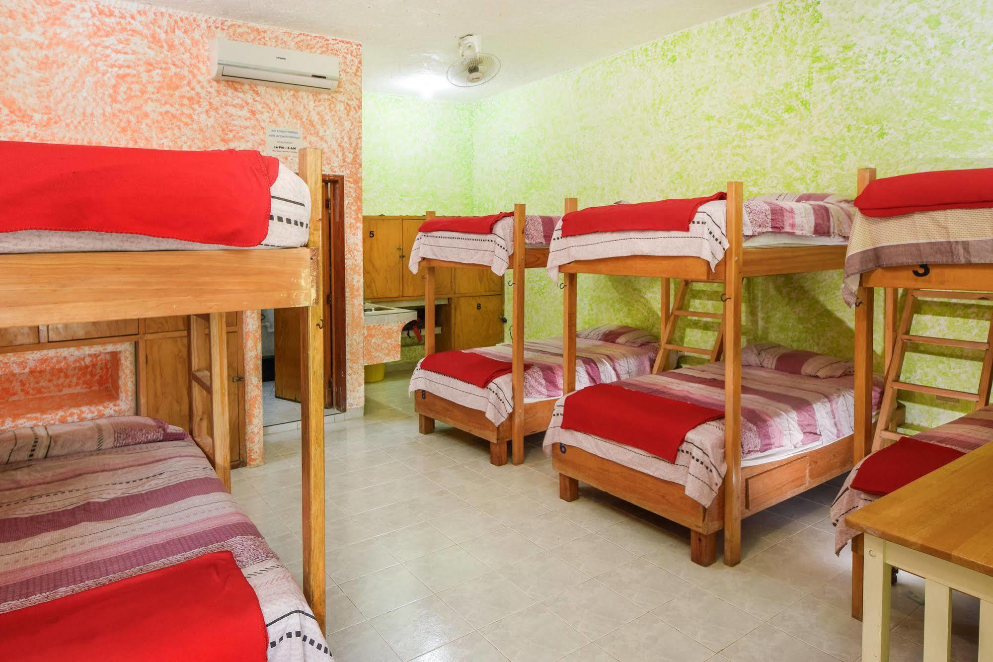 Amigos Hostel Cozumel Vandrarhemssängar bild