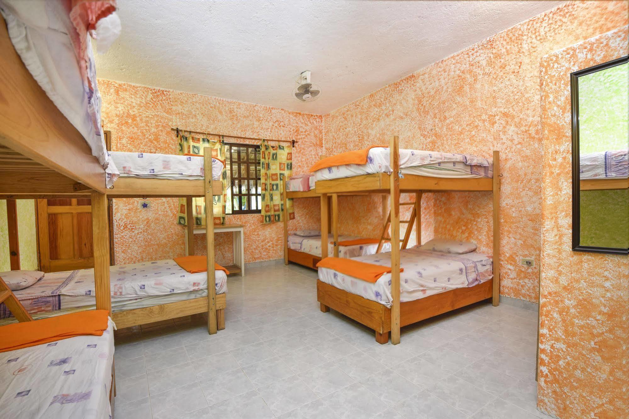 Amigos Hostel Cozumel Exteriör bild