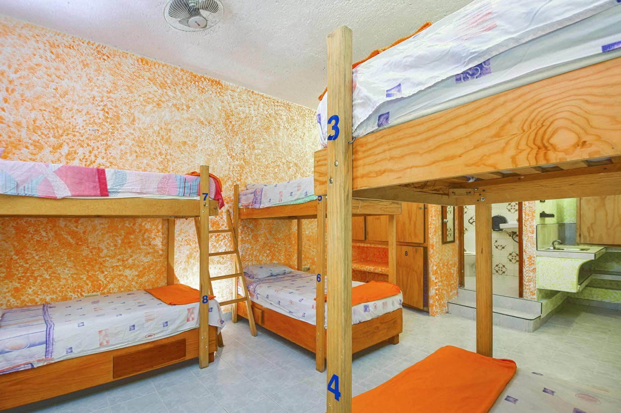 Amigos Hostel Cozumel Exteriör bild