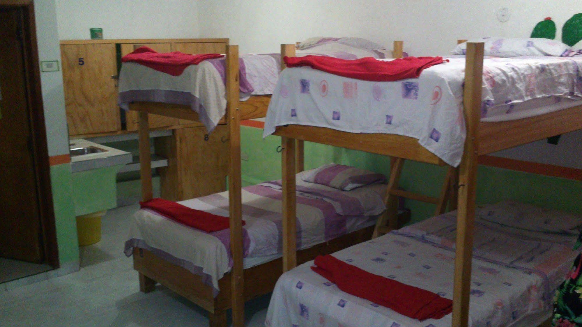 Amigos Hostel Cozumel Vandrarhemssängar bild