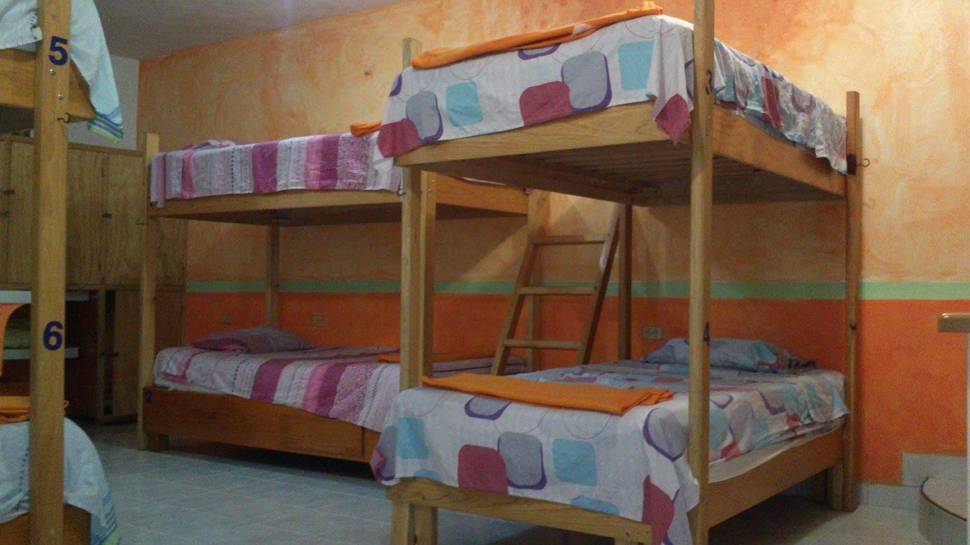 Amigos Hostel Cozumel Exteriör bild