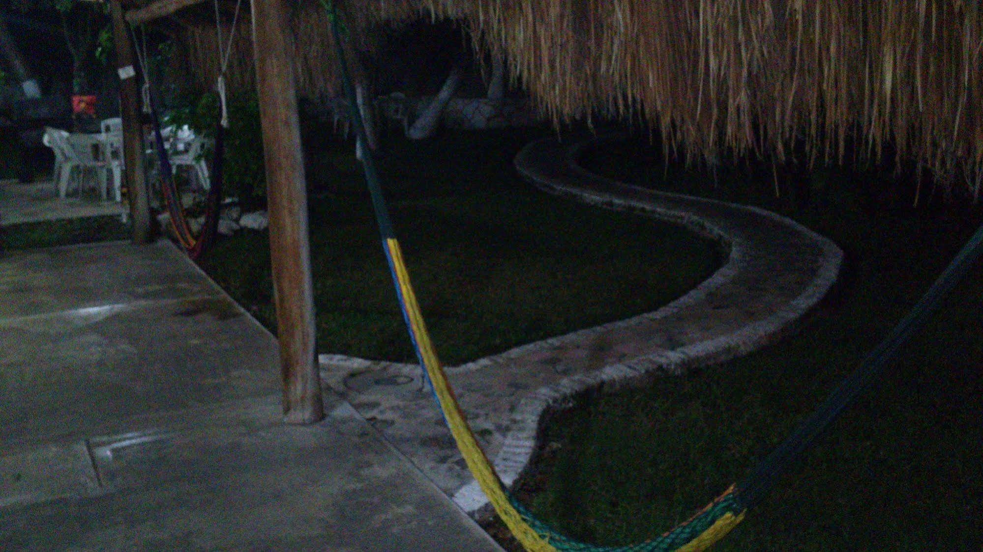 Amigos Hostel Cozumel Exteriör bild